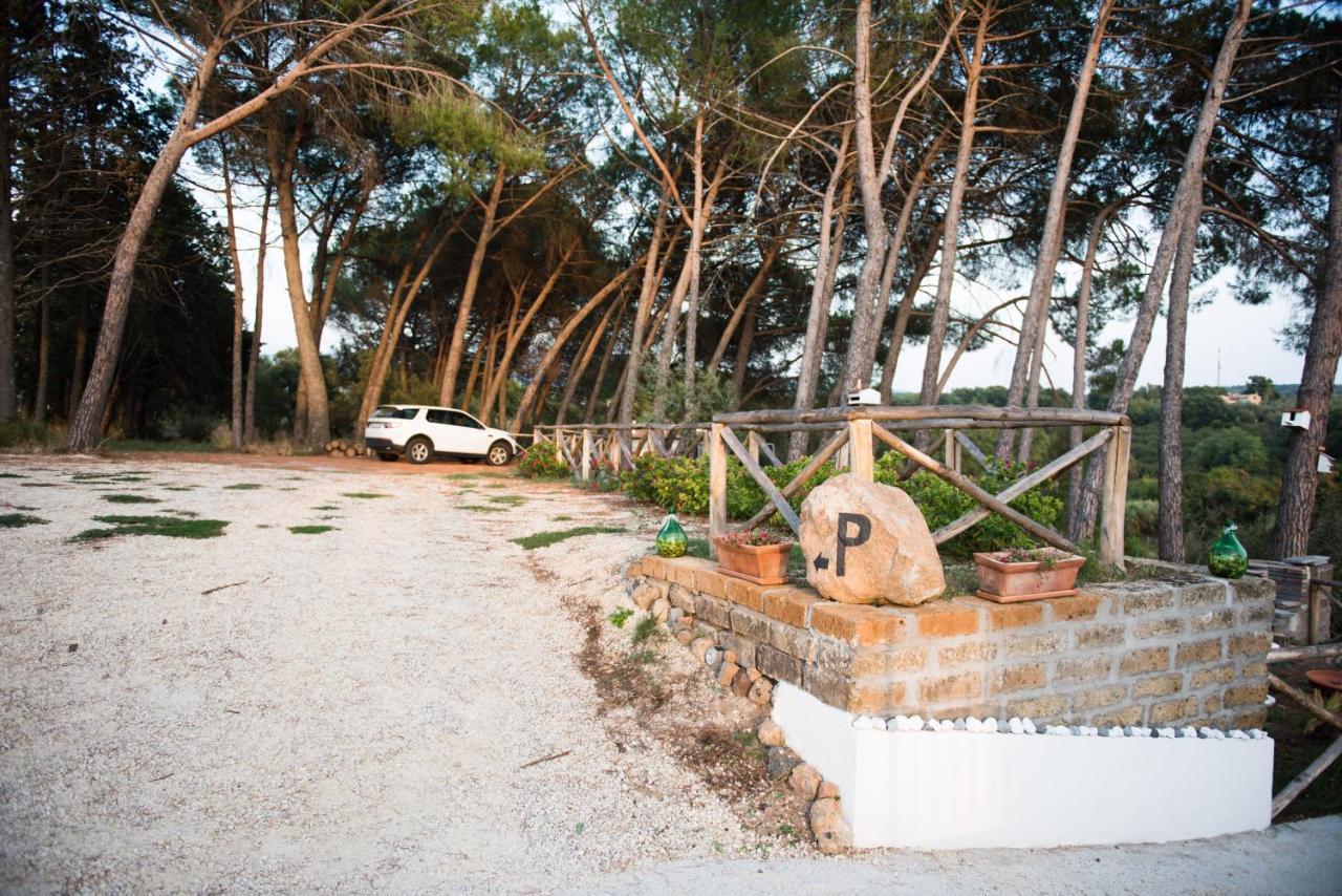 Bed and Breakfast Le Terrazze Di Casa Bonelli Vetralla Exterior foto